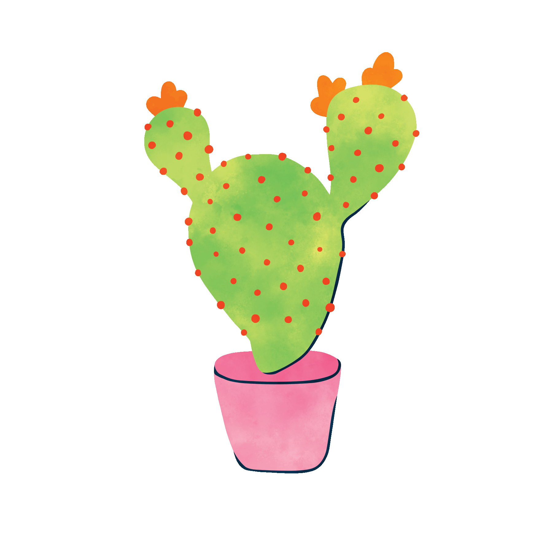 tdp cactus